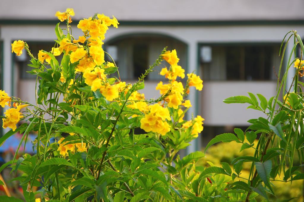Aveda Blue Country Resort Panchgani Exterior photo